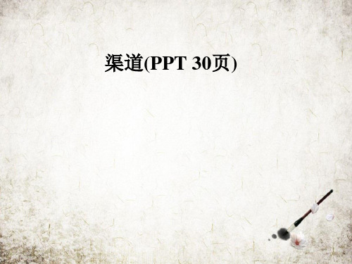 渠道(PPT 30页)