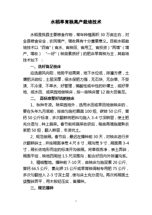水稻旱育秧高产栽培技术