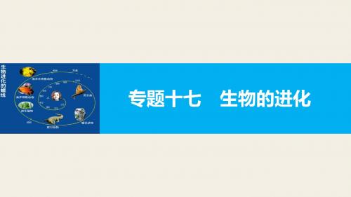 【新步步高】2017届高考生物二轮复习(浙江专用课件)专题十七生物的进化