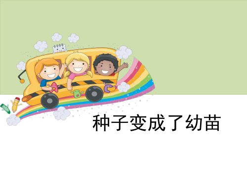 《种子变成了幼苗》植物的生长变化-教科版三年级科学下册PPT课件