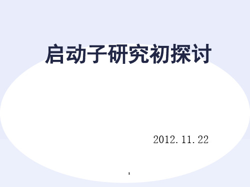 启动子-文档资料