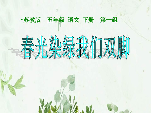 《春光染绿我们双脚》5PPT课件 图文