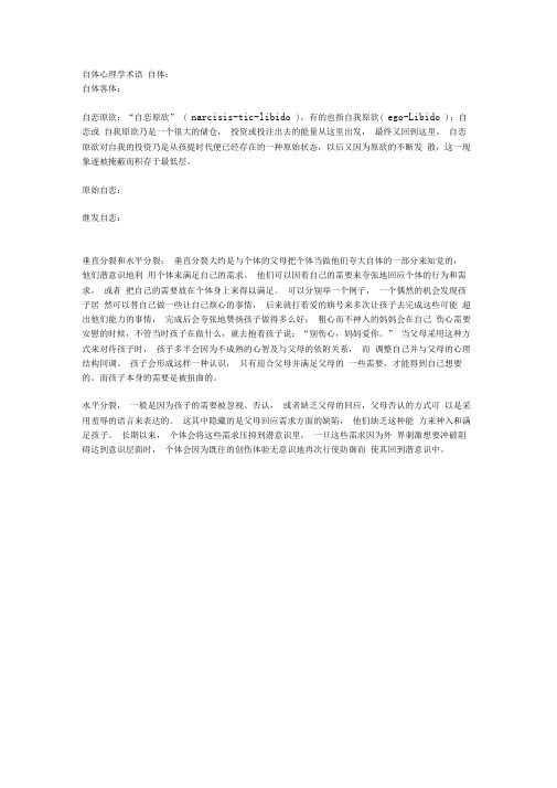 自体心理学术语