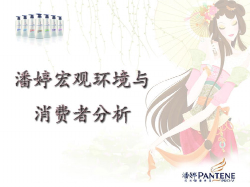 潘婷宏观环境及消费者分析