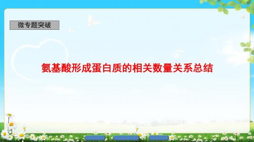 2018年浙科版生物必修1 第1章 微专题突破 氨基酸形成蛋白质的相关数量关系总结