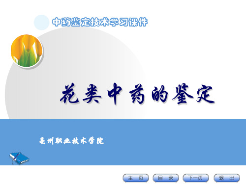 花类中药的鉴定