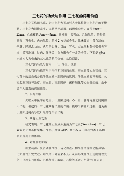 三七花的功效与作用_三七花的药用价值