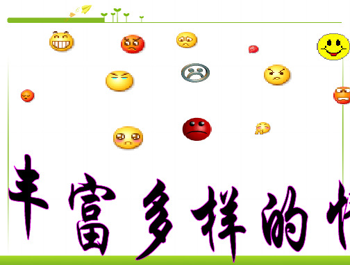 新版七年级上学期政治丰富多样的情绪课件-人教新课标版