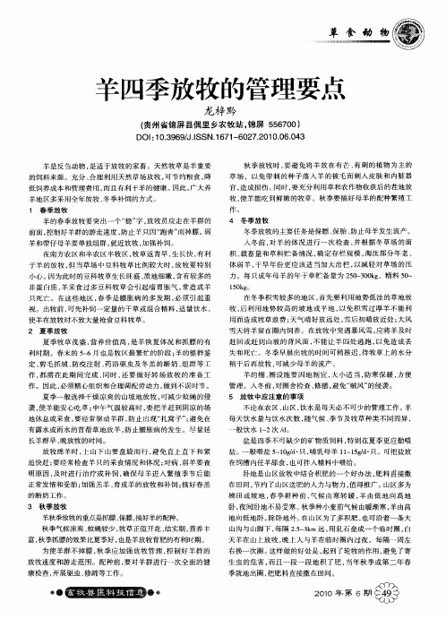羊四季放牧的管理要点