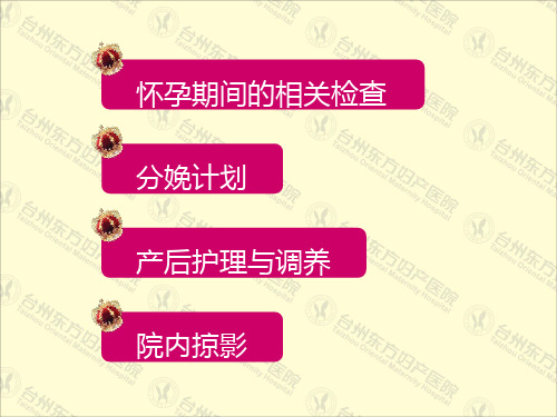产科介绍PPT【PPT课件】