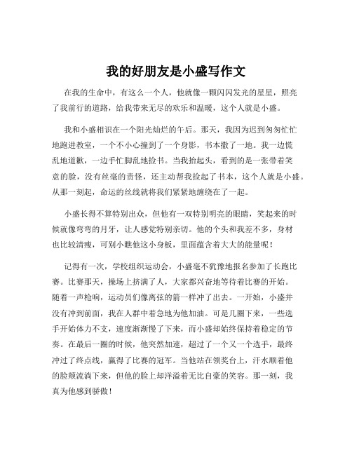我的好朋友是小盛写作文