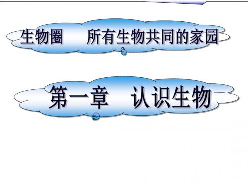 【初中生物】认识生物PPT课件4