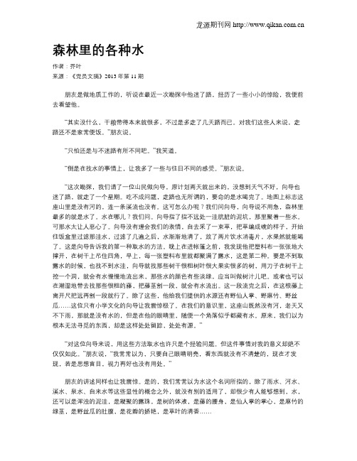 森林里的各种水
