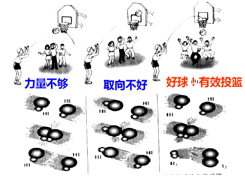 影响化学反应速率的因素