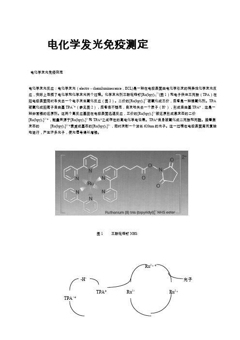 电化学发光测定原理