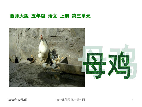 第9课母鸡PPT-西师版小学五年级上册语文PPT课件