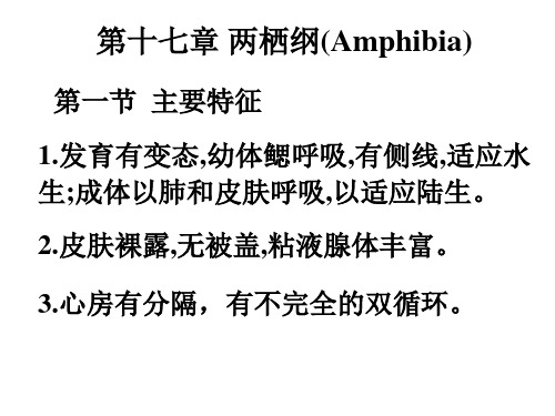 18--两栖纲