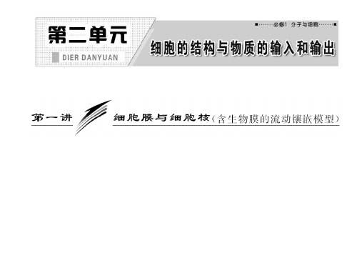 必修1第二单元第一讲细胞膜与细胞核含生物膜的流动镶嵌模型