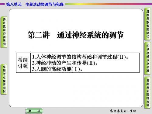 【导学教程】2016届高三生物一轮总复习课件：第八单元第二讲通过神经系统的调节