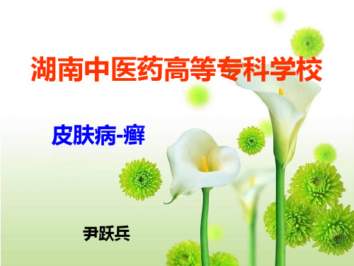 皮肤病-癣.