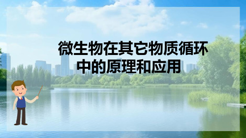 微生物在环境物质循环和污染物转化中的作用—磷、硫、铁和锰的循环