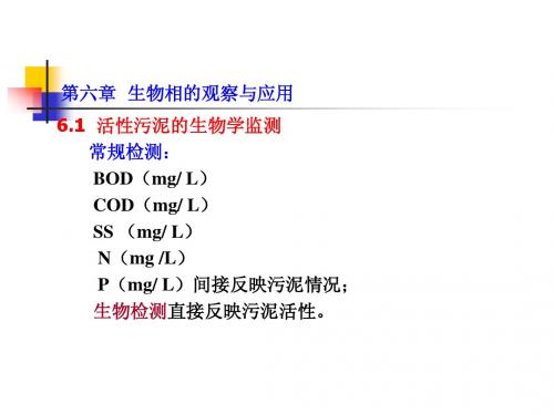 水处理微生物学(第十一讲)