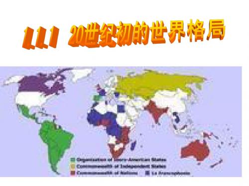 20世纪初世界格局(2014版)