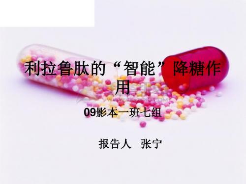 开题报告