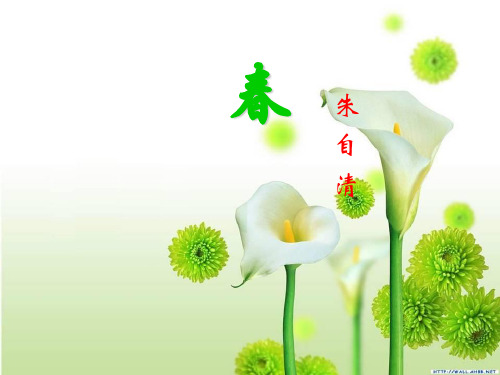 春(小专题：调动五官)