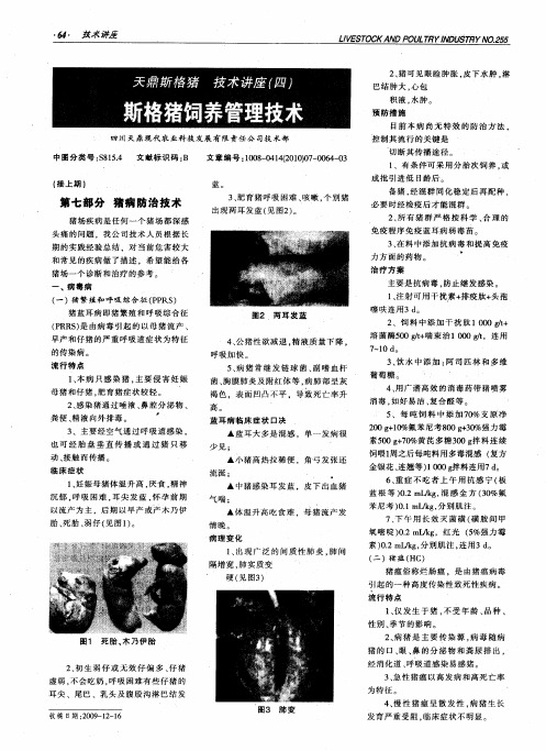 天鼎斯格猪  技术讲座(四)  斯格猪饲养管理技术