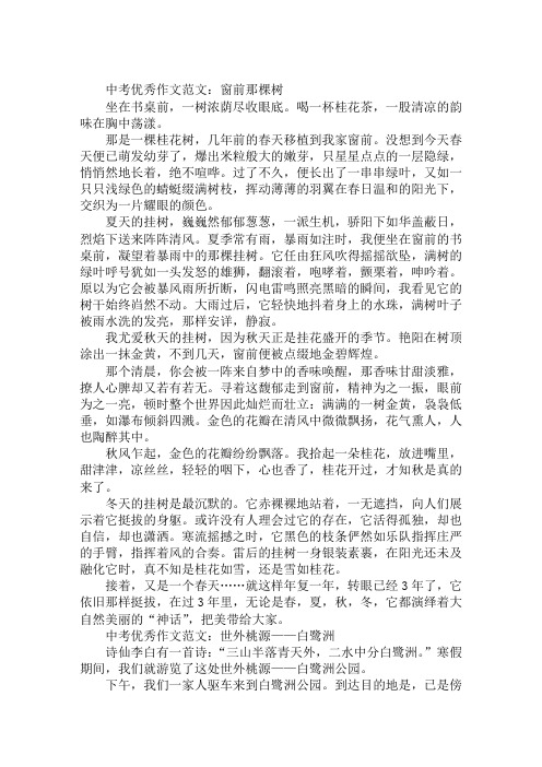 2020年精选中考优秀作文范文：窗前那棵树
