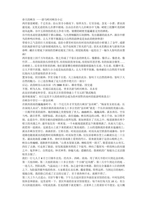 春天的峡谷