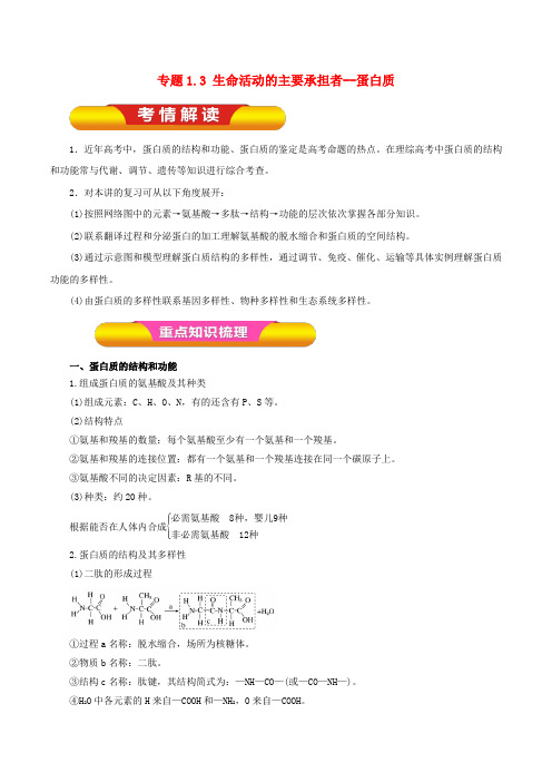 2019年高考生物一轮复习专题1.3生命活动的主要承担者--蛋白质教学案
