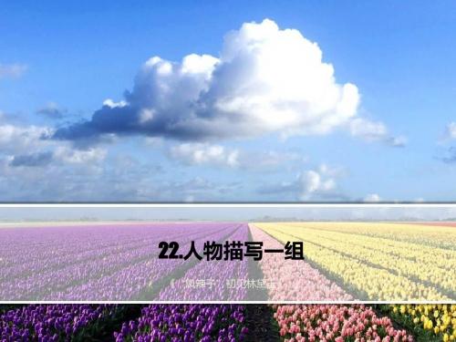 22.人物描写一组(三课时)