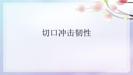 切口冲击韧性