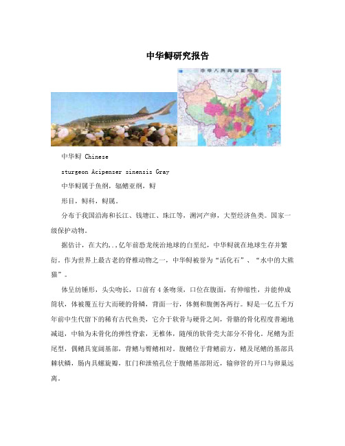中华鲟研究报告