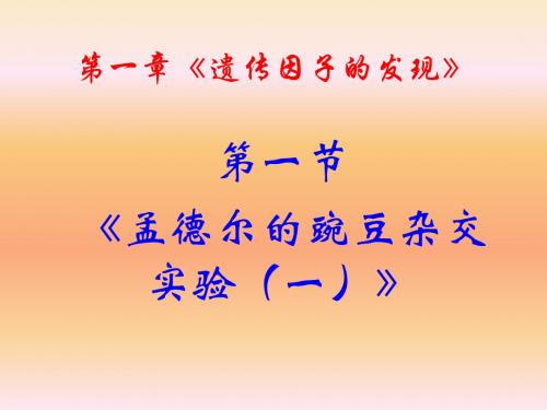 遗传因子的发现 PPT课件10 人教课标版