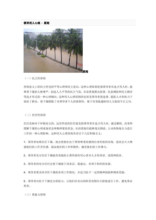 领导用人心理的原则