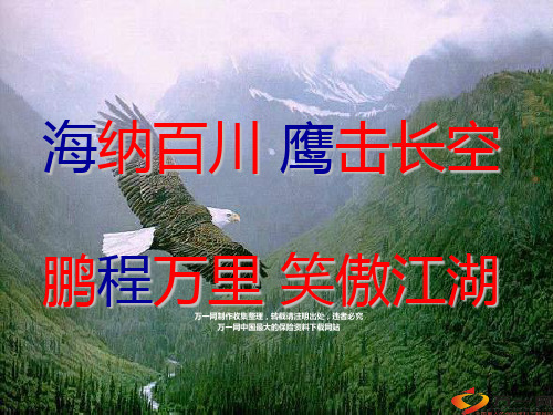 fg生命保险基本法利益及亮点38页