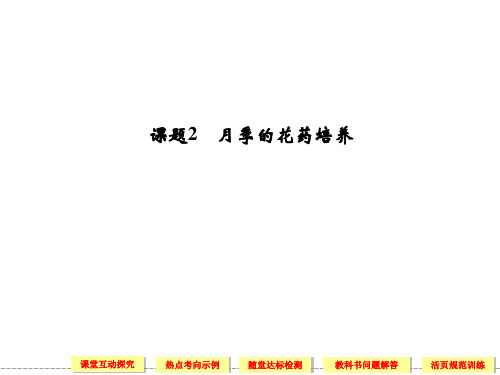 人教版高中生物选修一3-2《月季的花药培养》ppt同步课件