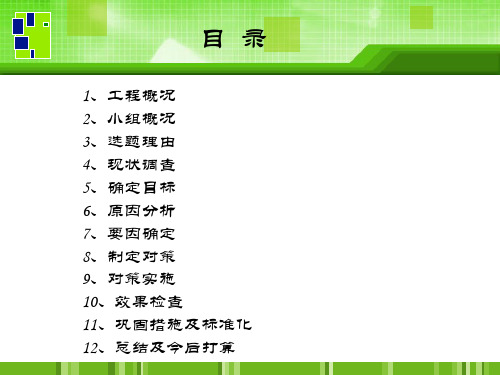 重载金刚砂地面施工质量控制.ppt