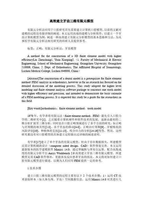 高效建立牙齿三维有限元模型