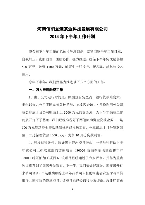 河南信阳龙潭茶业科技发展有限公司下半年工作计划6.29