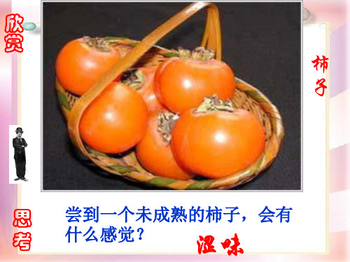 第七单元第二节碱及其性质