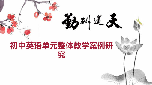 初中英语单元整体教学案例研究