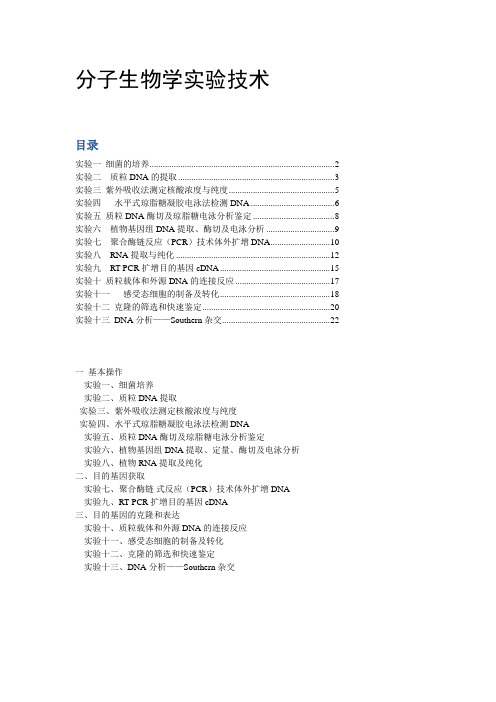 分子生物学实验技术