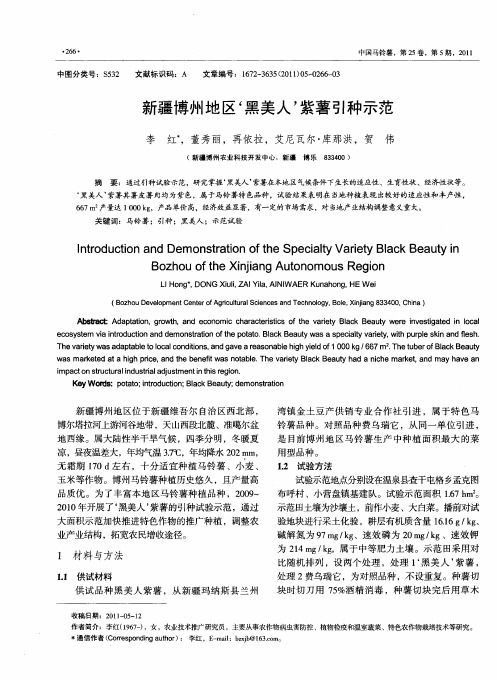 新疆博州地区‘黑美人’紫薯引种示范