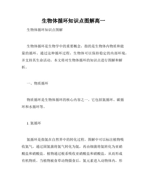 生物体循环知识点图解高一