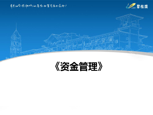 8.碧桂园地产资料之资金管理-冯春阳