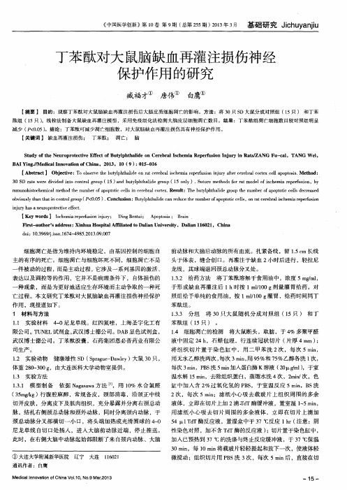 丁苯酞对大鼠脑缺血再灌注损伤神经保护作用的研究